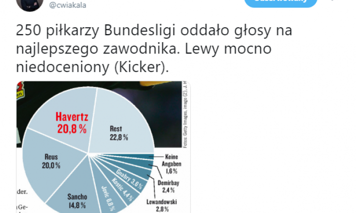 Wyniki głosowania piłkarzy na NAJLEPSZEGO zawodnika Bundesligi 18/19. LEWY o.O